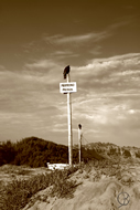 The local inland desert can be explored by dune buggy foot or horse back